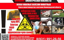 Будьте бдительны! Опасные заболевания животных и птиц