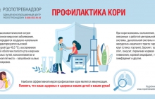 Профилактика кори